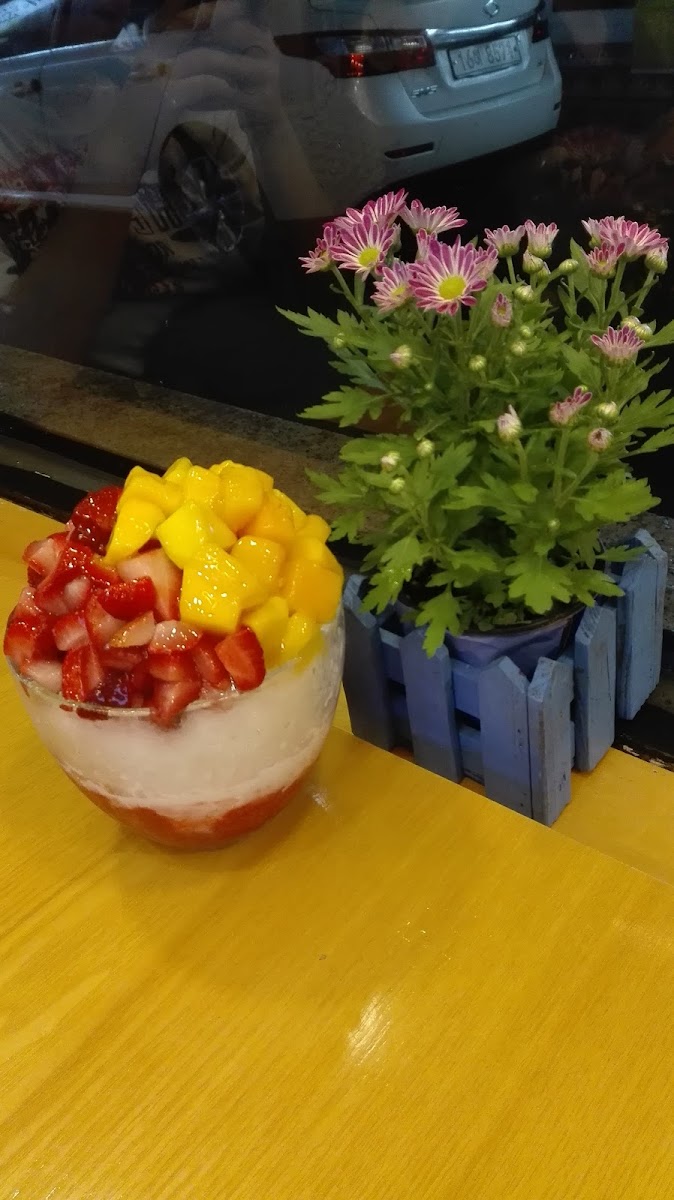 Yoger Presso Photos 2